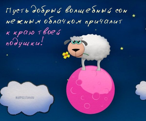 Пожелания доброй ночи прикольные