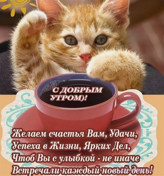 Пожелания с добрым утром прикольные