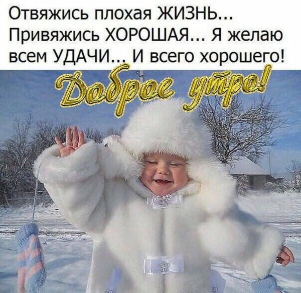 Доброе зимнее утро с юмором