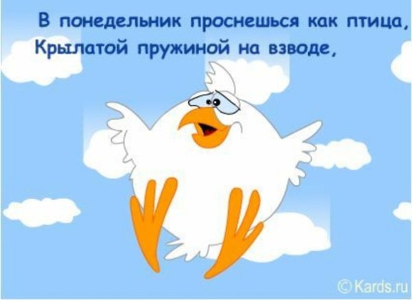 Доброе утро понедельник юмор
