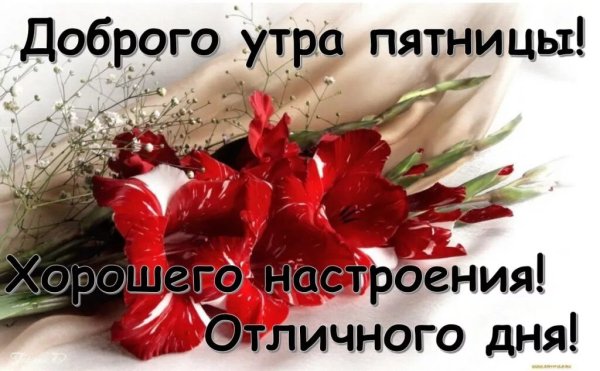Доброе утро пяяяятницы