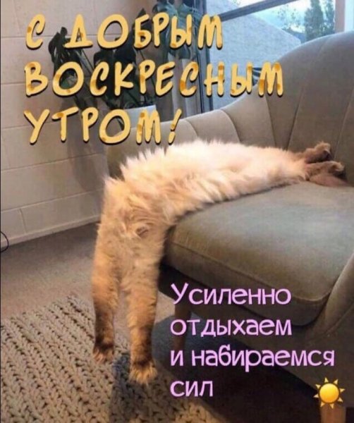 С воскресным утром картинки