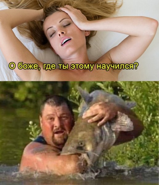 Где ты этому научился Мем