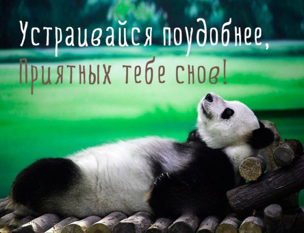 Спокойной ночи