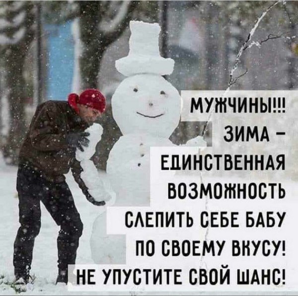 Смешные фразы про зиму