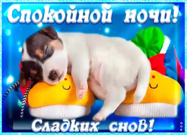 Сладкой ночи