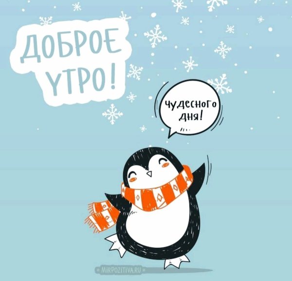 Доброе зимнее утро прикольные необычные