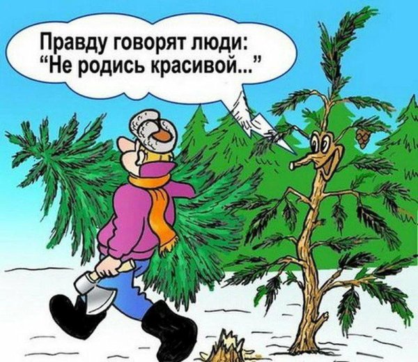 Смешные карикатуры про новый год