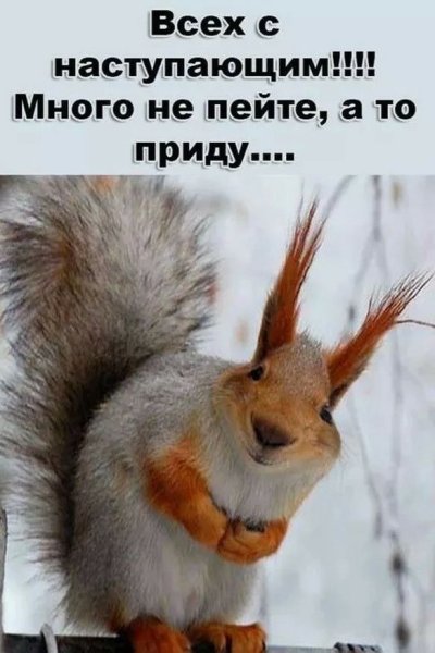 Много не пейте а то приду Белочка