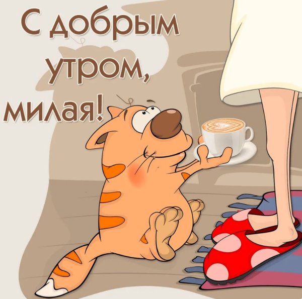 Пожелания с добрым утром прикольные