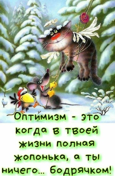 Веселые цитаты