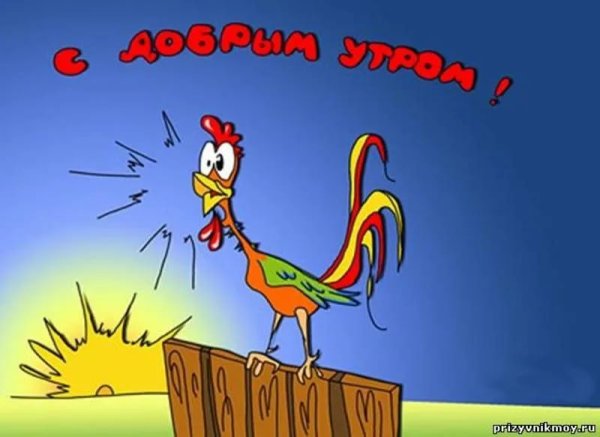 Смешные поздравления с добрым утром