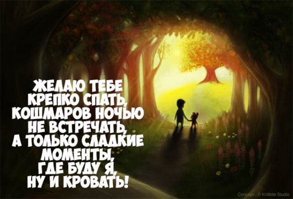 Спокойной ночи мужчине прикольные