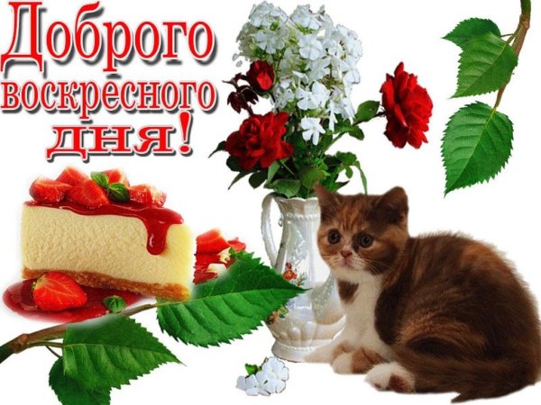 Доброго воскресенья