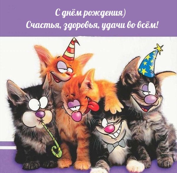 С днем рождеприкольные