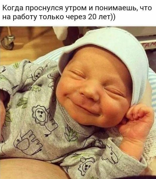 Забавные дети с надписями