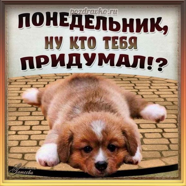 С понедельником картинки