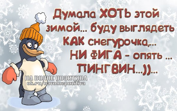 Зимние цитаты смешные