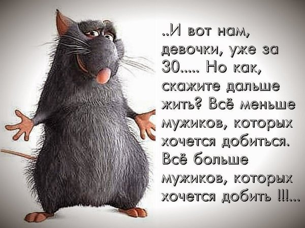 Смешные цитаты