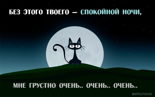 Прикольные пожелания спокойной ночи
