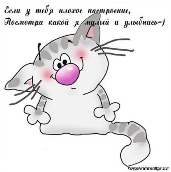 Смешные открытки