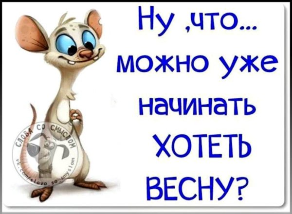 Веселые статусы для настроения