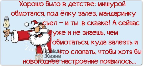 Смешные цитаты про новый год в картинках