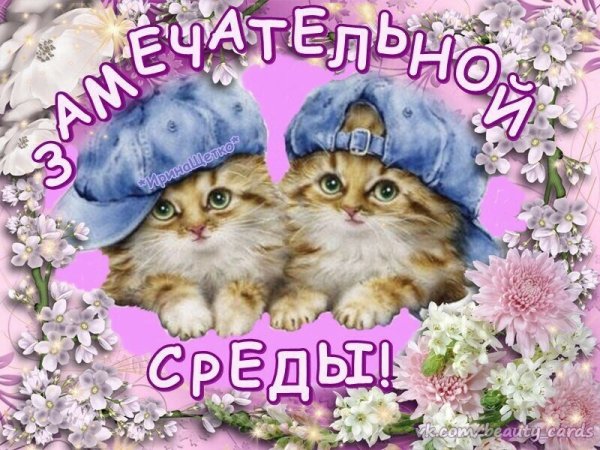 Открытки прекрасной среды