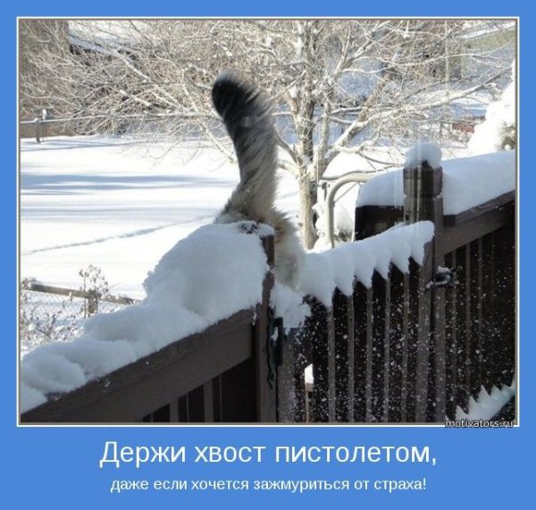 Мотиваторы зима