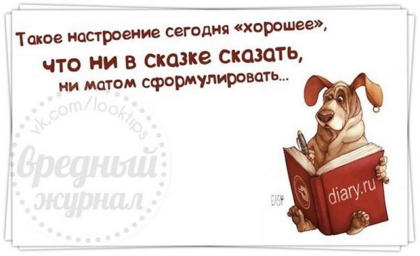 Цитаты про вторник смешные