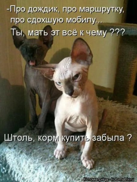Анекдоты про животных в картинках