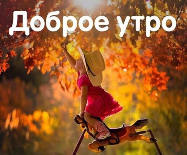 Доброе осеннее утро прикольные