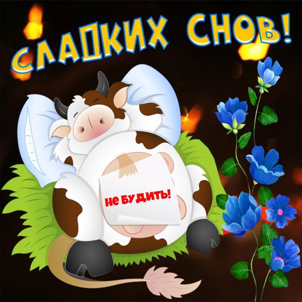 Необычные с надписями спокойной ночи