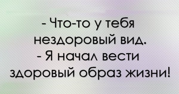 Смешные цитаты в картинках