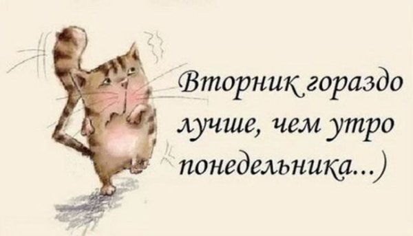 Вторник картинки прикольные