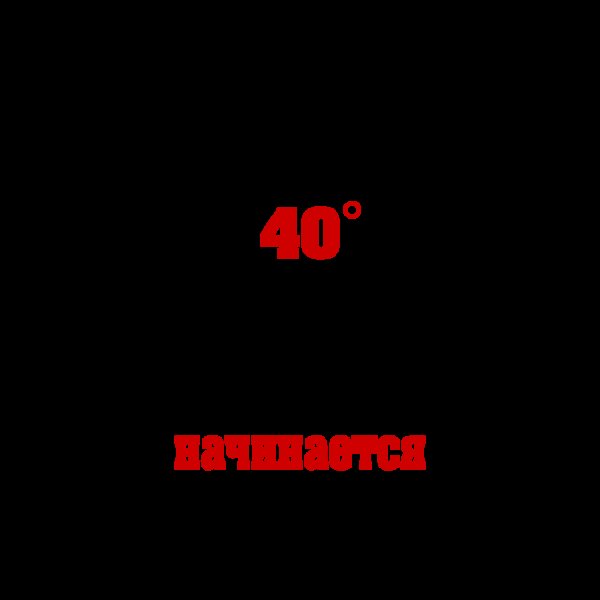 Жизнь в 40 лет только начинается фраза