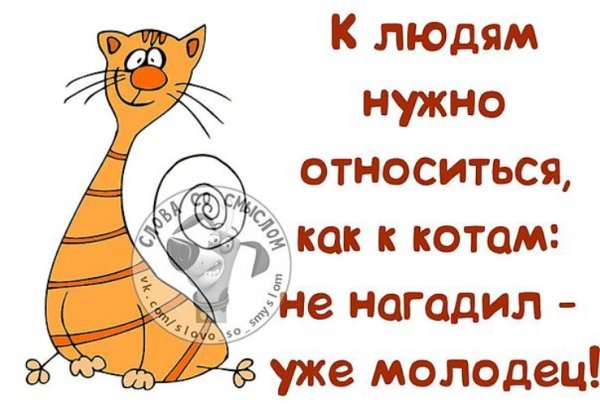 Позитивные фразы для поднятия настроения