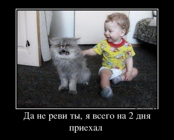 Смешные картинки для детей