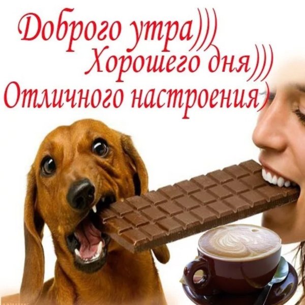Отличного дня и отличного настроения