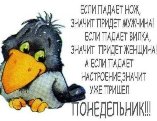 Понедельник юмор