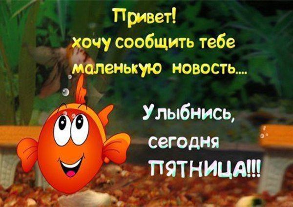 Сегодня пятница