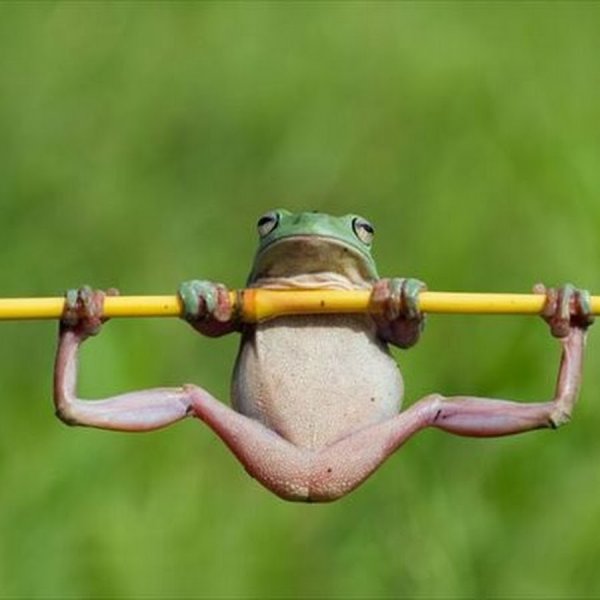 Юмор для мужчин для поднятия настроения