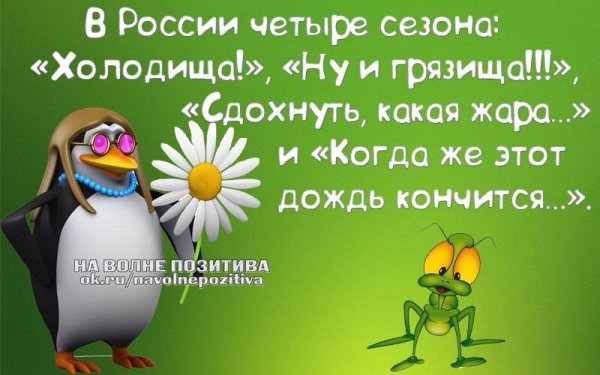 Позитивные картинки с юмором