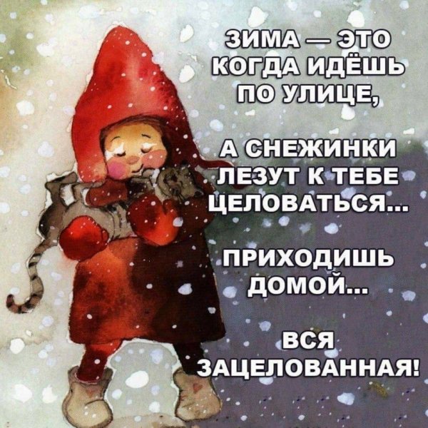 Смешные зимние высказывания
