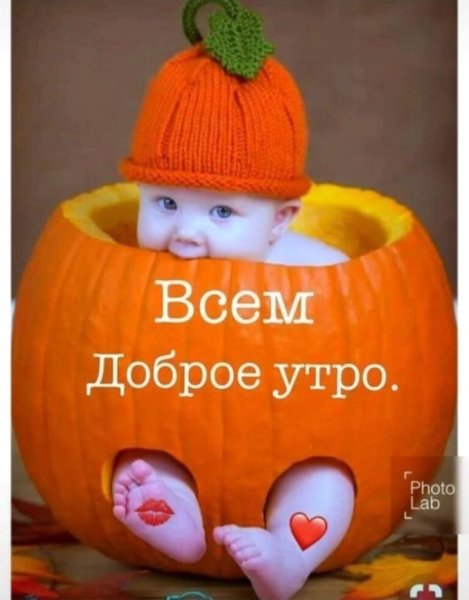 Доброе утро малыш прикольные