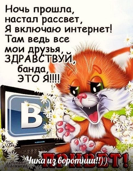 Смешные пожелания с добрым утром