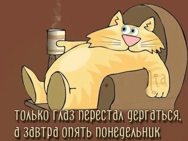 Шутки про вечер воскресенья