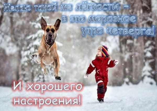 Доброе зимнее утро четверга