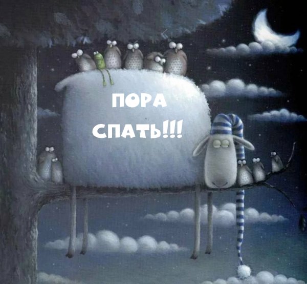 Художник овечки Роб Скоттон
