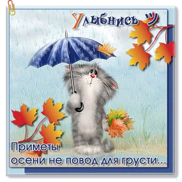 Добрые пожелания в дождливый день